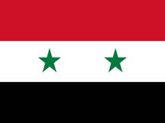 
      
      Syria condemns continuous US-led attack
      
      
