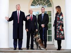 
      
      Conan is a tough cookie: Trump welcomes military dog, who...
      
      