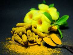 
      
      Study details benefits of turmeric compound
      
      