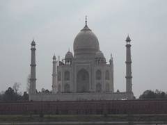 
      
      CISF says no monkey scare at Taj Mahal
      
      