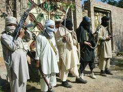 
      
      Pakistan haven for Taliban's comfortable stay, says US
      
      