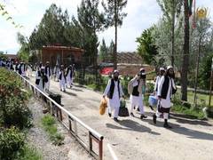 
      
      Afghan security council confirms release of over 100 taliban...
      
      