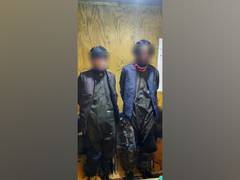 
      
      2 Talibans arrested for target killings, says Defense Ministry
      
      
