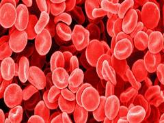
      
      Over 1 lakh thalassemia patients die before they turn 20
      
      