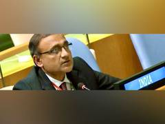 
      
      India condemns attack on UN peacekeepers in Mali
      
      