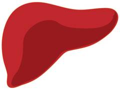 
      
      Fecal transplants show promise as treatment for non-alcoholic...
      
      