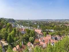 
      
      Canopy cover can dramatically reduce urban temperatures: Study
      
      