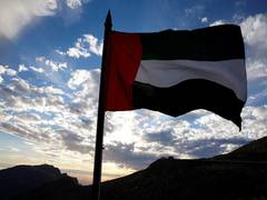 
      
      UAE firm presents country's first domestic air defence...
      
      
