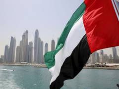 
      
      UAE's investment in Jammu and Kashmir big victory for India,...
      
      