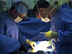 
      
      'Human textile' to replace conventional sutures
      
      