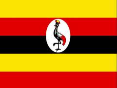 
    UN warns teen pregnancy costing economic progress in Uganda
    