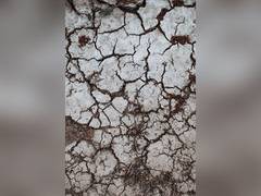 
      
      Study reveals rampaging strength of flash droughts
      
      