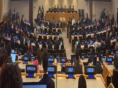 
      
      India calls to prevent trade in small arms to combat terrorism
      
      