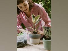 
    Do you know better mental can be achieved by gardening?
    