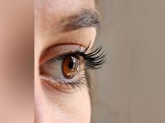 
      
      Researchers find detailed genetic roadmap of glaucoma
      
      