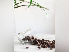 
    Higher coffee intake prevents development of Alzheimer's disease: Study
    