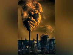 
    Air pollution shows ill effects in children: Study
    