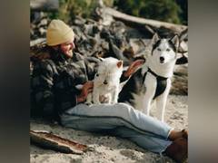 
      
      Male dogs more likely to get mouth, nose cancer than female dogs
      
      