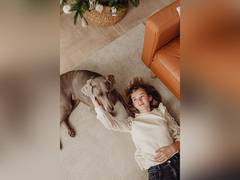 
      
      Study: Dog interventions helps to lower stress in children 
      
      
