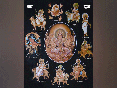 
    Navratri 2019: Special prasad to offer the nine avatars of Durga
    