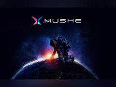 
      
      How to invest in Mushe, XRP, and Fantom in a bear market?
      
      