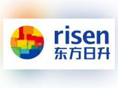 
      
      Risen Energy recognized as a 