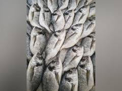 
      
      Higher fish consumption associated with increased melanoma risk
      
      