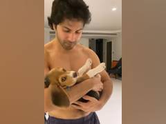
      
      Varun Dhawan's hilarious trick to tease his pet Joey
      
      