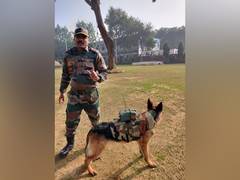 
      
      Indian Army training dogs for surveillance during...
      
      