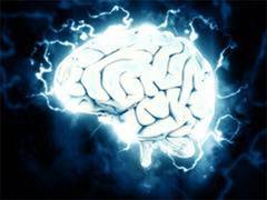 
      
      Study: New insights into melanoma brain metastases
      
      