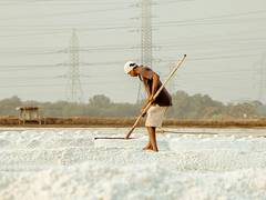 
      
      India is in grip of silent epidemic of excess salt consumption
      
      