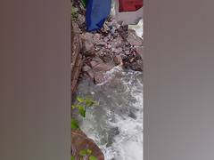 
      
      ITBP recovers body of driver who fell into river in Sikkim
      
      