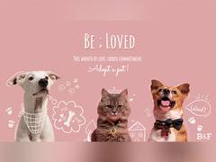
      
      Boch &amp; Fernsh collaborates with Happy Tails and Pet Patch...
      
      