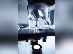 
      
      Modern microbiome rising due to professional 'guilds' of bacteria
      
      
