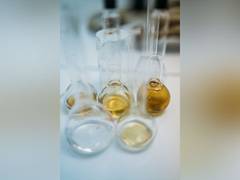 
      
      How to Find 'Good Oil' at Sea: Study
      
      