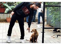 
      
      No hand shaking, Vicky Kaushal's pawed friend 'knows' social...
      
      