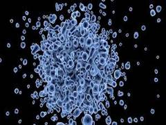 
      
      Protein coat makes viruses more infectious, links them to...
      
      