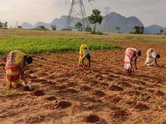 
      
      Walmart announces two new grants to help India's smallholder...
      
      