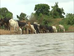 
      
      Village in Shivamogga district sets example for water conservation
      
      
