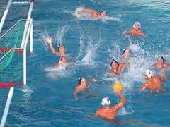 
      
      Study charts out details of water polo head injuries
      
      
