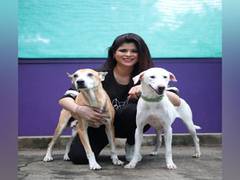
      
      Doggie Dog World - a haven for your furry babies
      
      