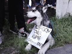 
      
      Animal activists in Nepal protest after recent killings of...
      
      
