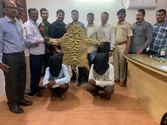 
      
      Tiger skin seized in Pune, 2 held
      
      