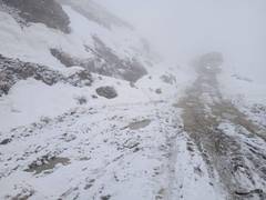 
      
      SDM Manali issues warning following heavy snowfall
      
      
