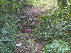 
      
      One killed, five injured in landmine blast in Jharkhand
      
      