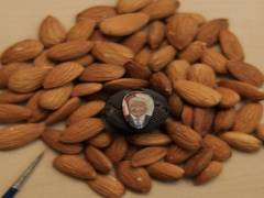 
      
      Chandigarh-based artist makes portrait of Donald Trump on almond
      
      