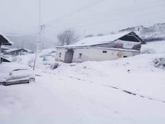 
      
      Fresh spell of snow, rain lashes parts of Himachal 
      
      