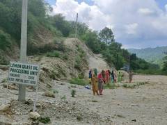 
      
      J-K villagers cultivate lemongrass to drive away monkeys,...
      
      