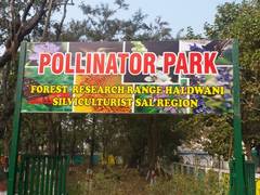 
      
      India's first pollinator park inaugurated in Haldwani
      
      