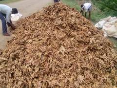 
      
      Karnataka farmers face tough times due to sharp fall in...
      
      